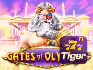 77 TIGER APP mobile iOS Android - 187 mil downloads São Paulo Rio BH